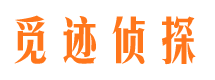 高平市场调查